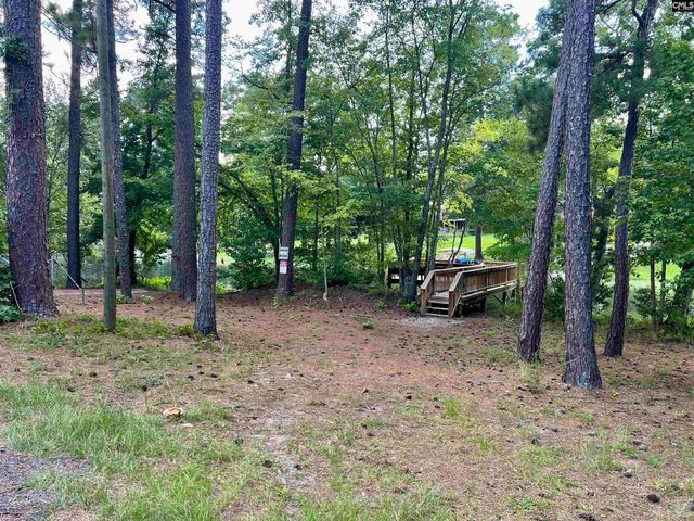 256 Mary Drive, Chapin, SC 29036