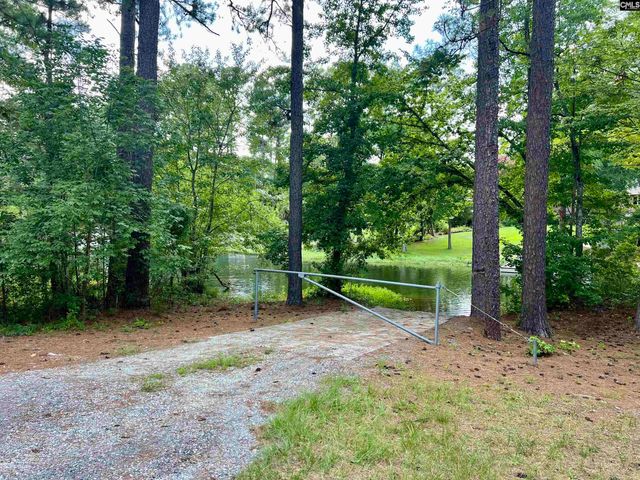 256 Mary Drive, Chapin, SC 29036