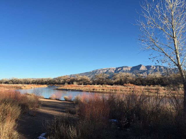 1019 Desert Willow Court, Bernalillo, NM 87004