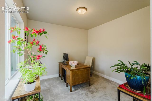 16335 Treetop Court, Monument, CO 80132