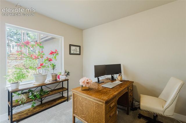 16335 Treetop Court, Monument, CO 80132