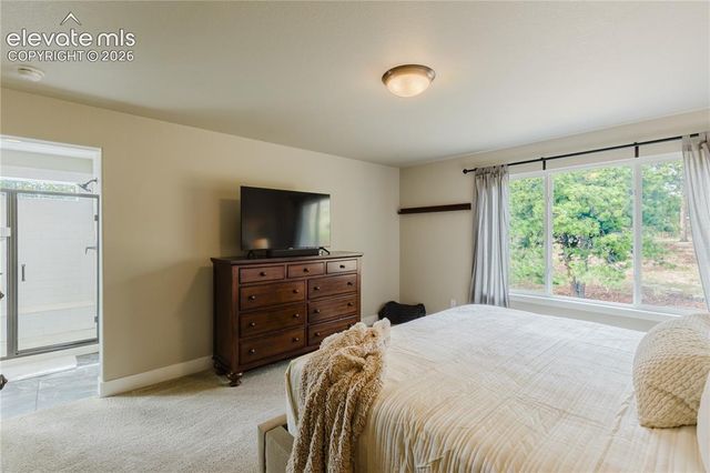 16335 Treetop Court, Monument, CO 80132