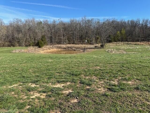 6481 Private Road 1182, West Plains, MO 65775