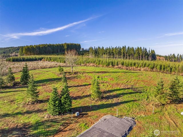 228 Suncrest Drive, Castle Rock, WA 98611