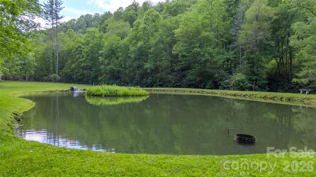 000 Rainbow Trout Drive, Spruce Pine, NC 28777