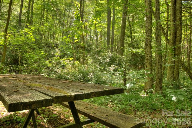 000 Rainbow Trout Drive, Spruce Pine, NC 28777