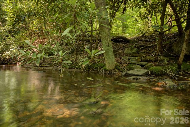 000 Rainbow Trout Drive, Spruce Pine, NC 28777