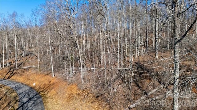 000 Rainbow Trout Drive, Spruce Pine, NC 28777