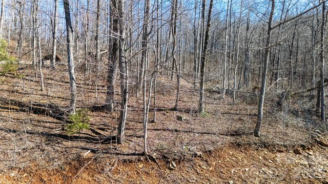 000 Rainbow Trout Drive, Spruce Pine, NC 28777