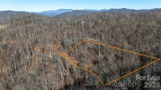 000 Rainbow Trout Drive, Spruce Pine, NC 28777
