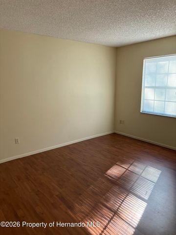 8116 Omaha Circle, Spring Hill, FL 34606