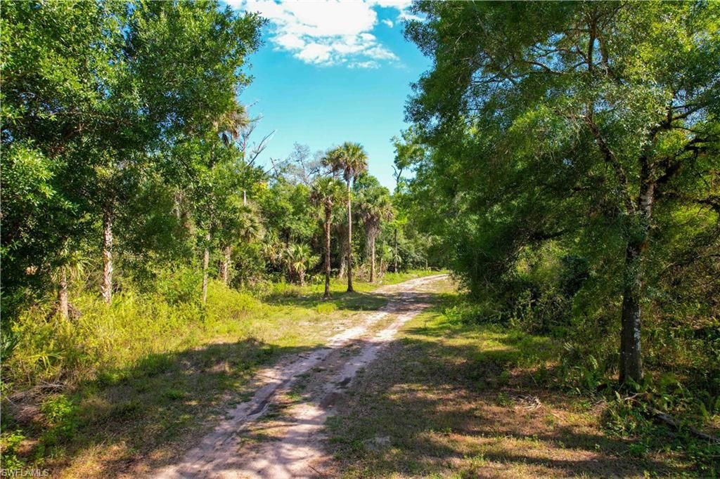 4180 36th AVE SE, NAPLES, FL 34117 — photo 4