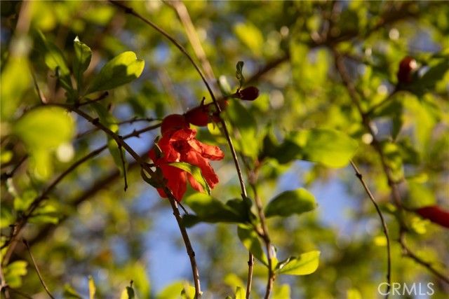 1129 Heatherview, Oak Park, CA 91377