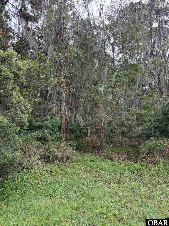 Image 9 of property listing at 401 Pointe Vista Drive Lot 1, Elizabeth City, NC 27909