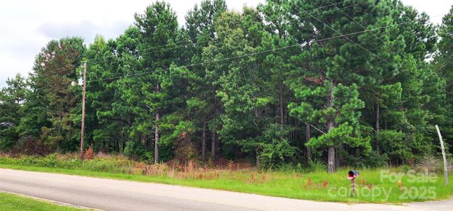 510 Van Lingle Mungo Boulevard, Pageland, SC 29728