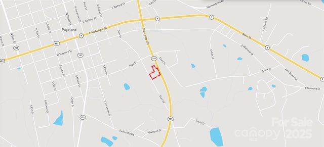510 Van Lingle Mungo Boulevard, Pageland, SC 29728