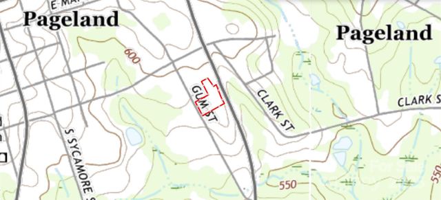510 Van Lingle Mungo Boulevard, Pageland, SC 29728
