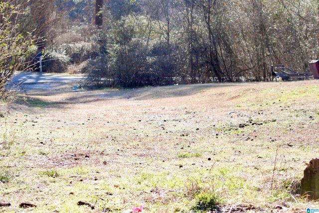 724 BOTTOM LEE ROAD, Warrior, AL 35180