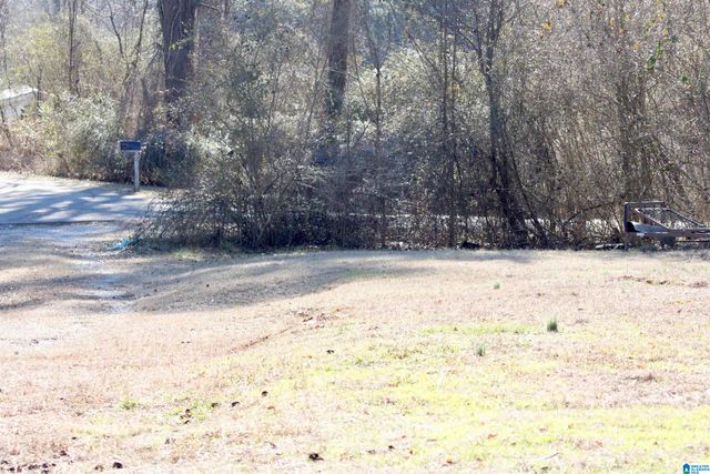 724 BOTTOM LEE ROAD, Warrior, AL 35180