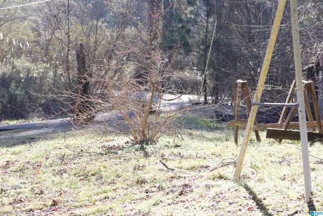 724 BOTTOM LEE ROAD, Warrior, AL 35180