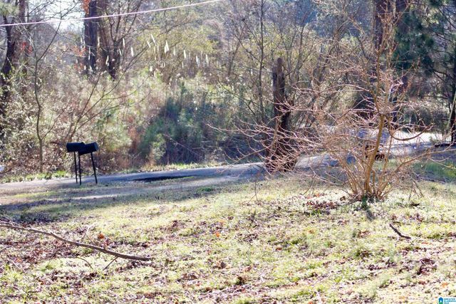 724 BOTTOM LEE ROAD, Warrior, AL 35180