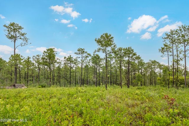 Tract 3 Hwy 17 Off, Hampstead, NC 28443