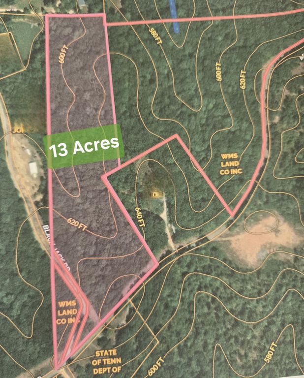 0 Mousetail Rd, Parsons, TN 38363