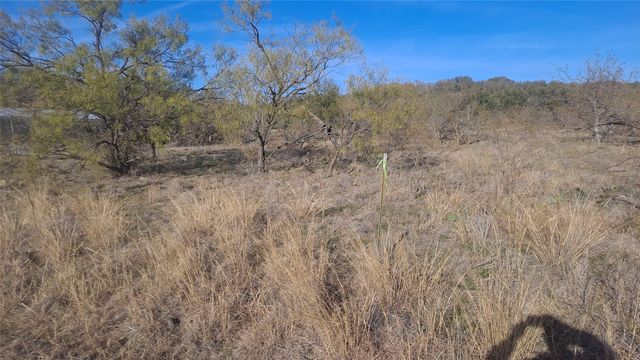 0 Oak Meadow Drive, May, TX 76857