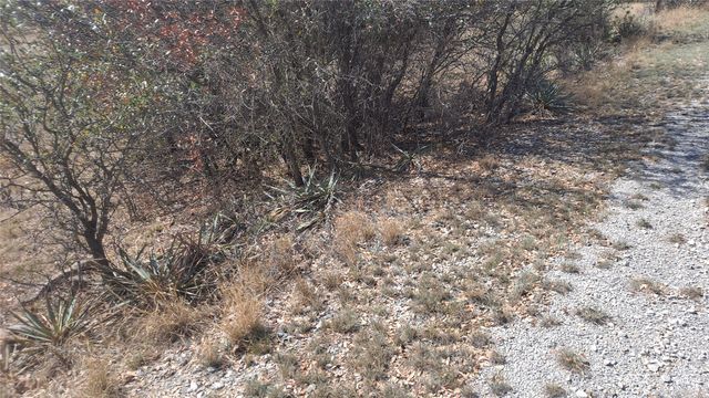 0 Oak Meadow Drive, May, TX 76857