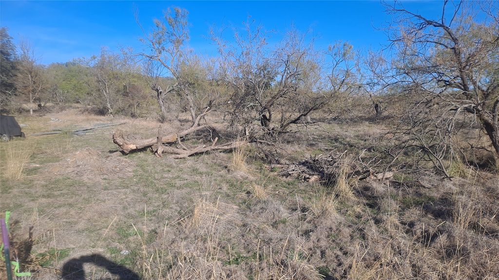 0 Oak Meadow Drive, May, TX 76857