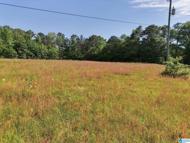2473 COUNTY ROAD 480, Verbena, AL 36091