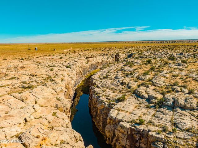 000 Bell Cow aka Rock Art Ranch Road 11, Winslow, AZ 86047