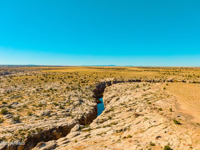 000 Bell Cow aka Rock Art Ranch Road 11, Winslow, AZ 86047