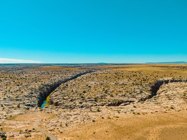 000 Bell Cow aka Rock Art Ranch Road 11, Winslow, AZ 86047