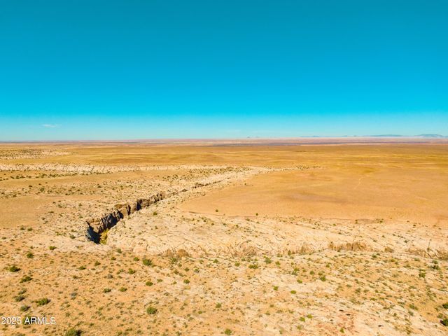 000 Bell Cow aka Rock Art Ranch Road 11, Winslow, AZ 86047