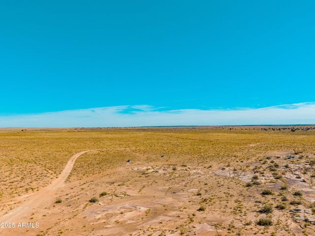 000 Bell Cow aka Rock Art Ranch Road 11, Winslow, AZ 86047