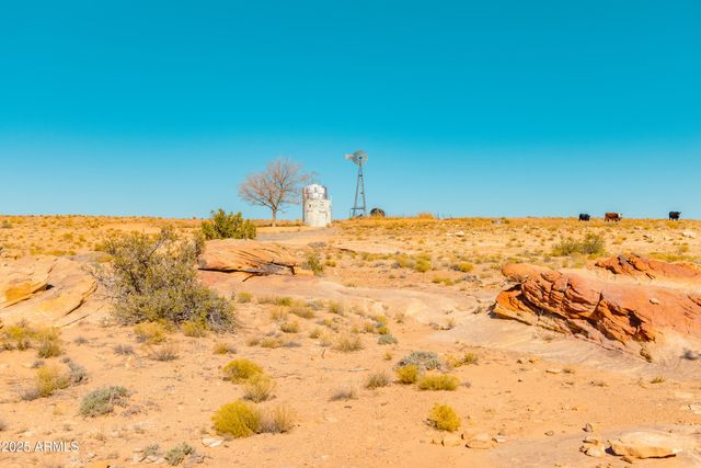 000 Bell Cow aka Rock Art Ranch Road 11, Winslow, AZ 86047