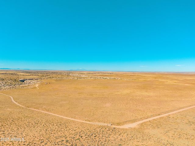 000 Bell Cow aka Rock Art Ranch Road 11, Winslow, AZ 86047