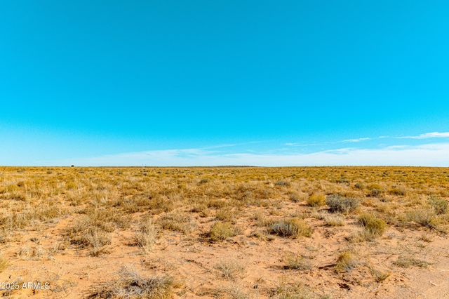000 Bell Cow aka Rock Art Ranch Road 11, Winslow, AZ 86047