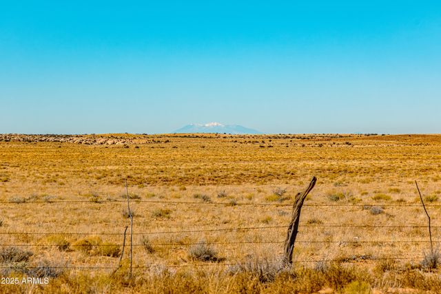000 Bell Cow aka Rock Art Ranch Road 11, Winslow, AZ 86047