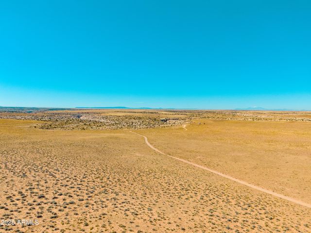 000 Bell Cow aka Rock Art Ranch Road 11, Winslow, AZ 86047