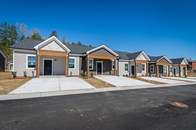 Unit 48 Grove Loop, Blue Ridge, GA 30513