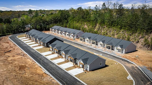 Unit 48 Grove Loop, Blue Ridge, GA 30513