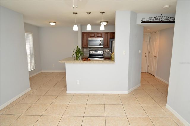 8617 FANCY FINCH DRIVE 101, Tampa, FL 33614