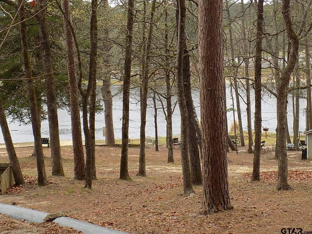 234 Holly Hill Circle 206B, Holly Lake Ranch, TX 75765