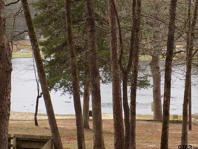 234 Holly Hill Circle 206B, Holly Lake Ranch, TX 75765