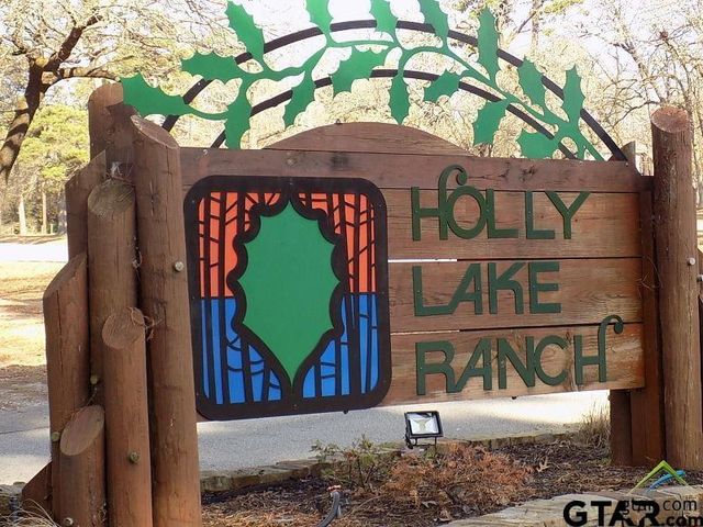 234 Holly Hill Circle 206B, Holly Lake Ranch, TX 75765