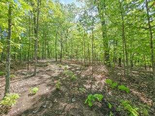 000 County Road 405c, Urbana, MO 65767