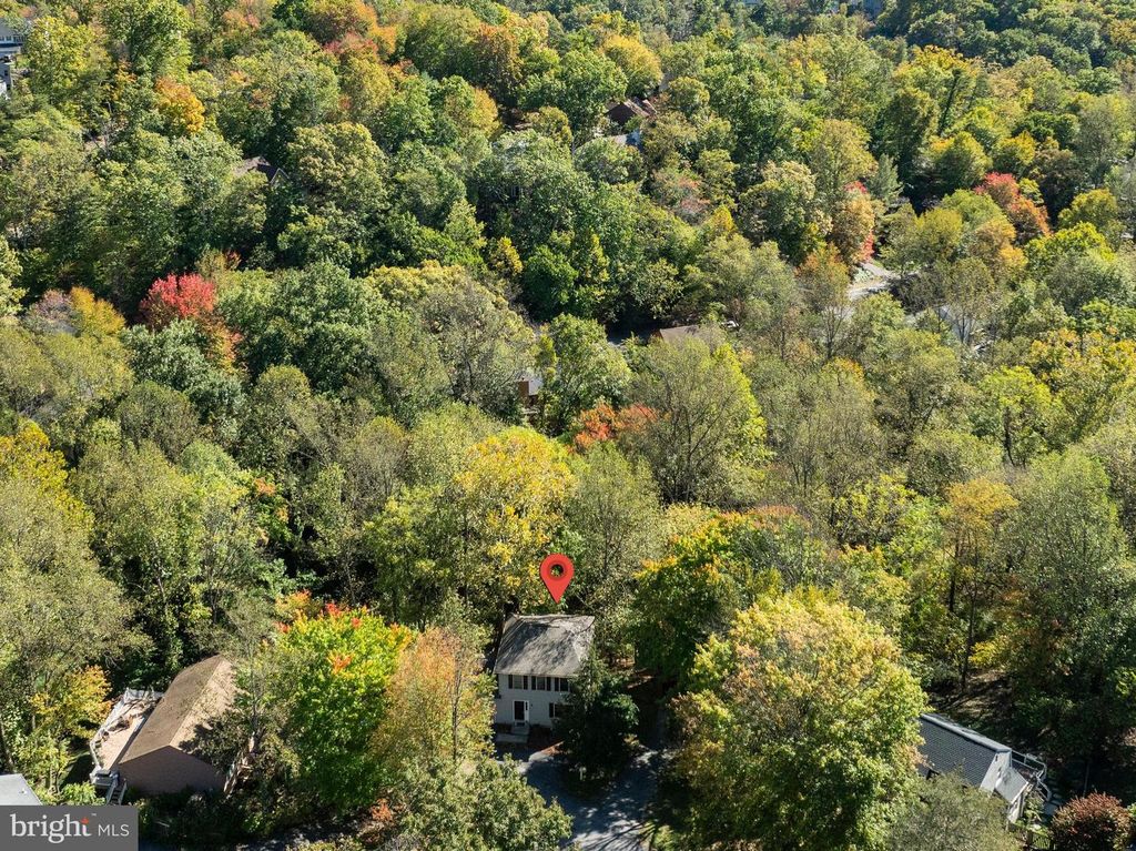 10407 HEDGEAPPLE CT, New Market, MD 21774