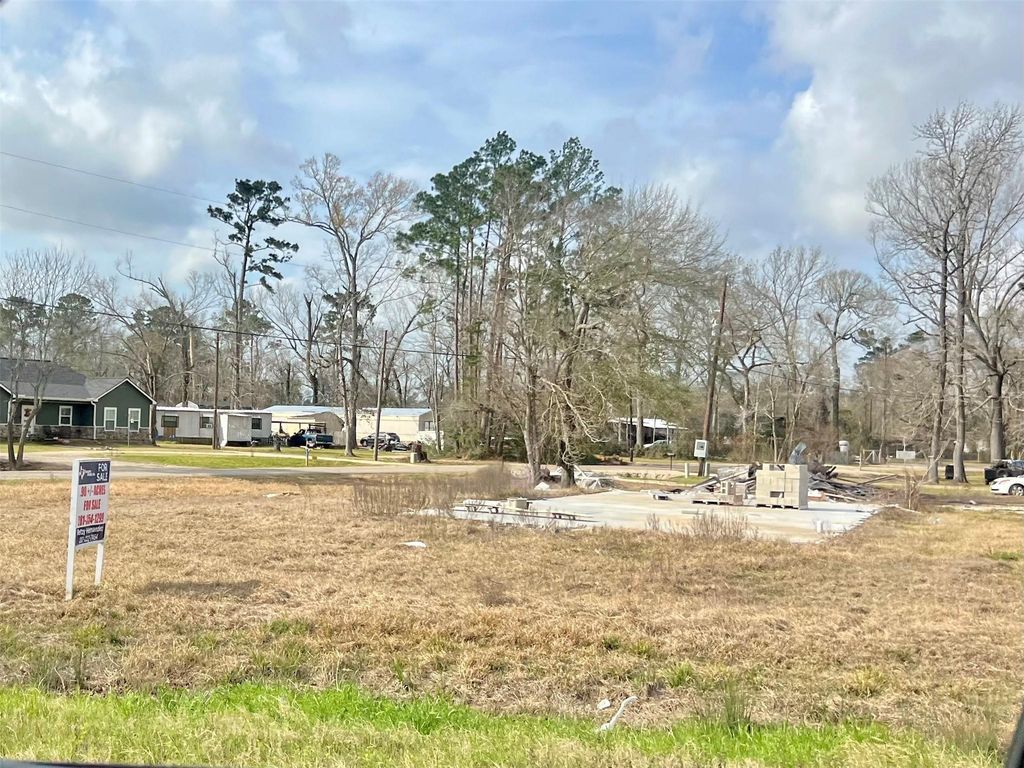 17031 Little Oak Drive, Porter, TX 77365